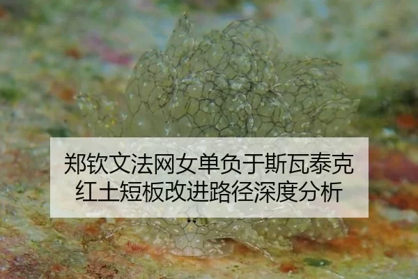 zheng-qin-wen-fa-wang-nv-dan-fu-yu-si-wa-tai-ke-hong-tu-duan-ban-gai-jin-lu-jing-shen-du-fen-xi-2-658.jpg